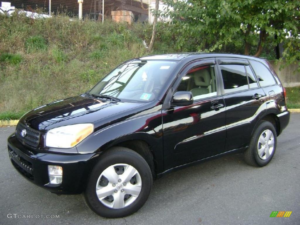 2002 RAV4  - Black / Gray photo #1