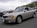 Light Parchment Gold Metallic - LS V8 Photo No. 1