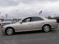 Light Parchment Gold Metallic - LS V8 Photo No. 4