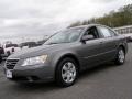 Willow Gray - Sonata GLS Photo No. 1