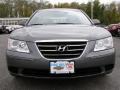 Willow Gray - Sonata GLS Photo No. 2