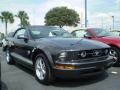 2009 Alloy Metallic Ford Mustang V6 Convertible  photo #1