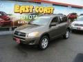 Pyrite Metallic - RAV4 I4 4WD Photo No. 3