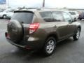 2010 Pyrite Metallic Toyota RAV4 I4 4WD  photo #4