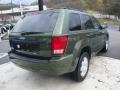 Jeep Green Metallic - Grand Cherokee Laredo 4x4 Photo No. 4