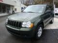 Jeep Green Metallic - Grand Cherokee Laredo 4x4 Photo No. 8