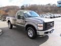 Sterling Grey Metallic - F250 Super Duty XL Regular Cab Photo No. 5