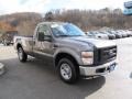 2009 Sterling Grey Metallic Ford F250 Super Duty XL Regular Cab  photo #5