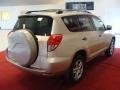 Savannah Metallic - RAV4 4WD Photo No. 10