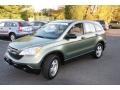 Green Tea Metallic 2008 Honda CR-V LX 4WD Exterior