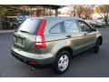 Green Tea Metallic 2008 Honda CR-V LX 4WD Exterior