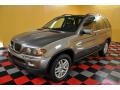 Sterling Grey Metallic - X5 3.0i Photo No. 2