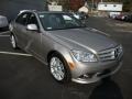 Pewter Metallic - C 300 Sport Photo No. 4
