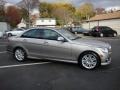 Pewter Metallic - C 300 Sport Photo No. 6