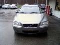 Willow Green Metallic - S60 2.5T Photo No. 3