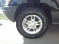 2002 Jeep Grand Cherokee Laredo Wheel and Tire Photo