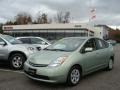 Silver Pine Green Mica - Prius Hybrid Photo No. 1