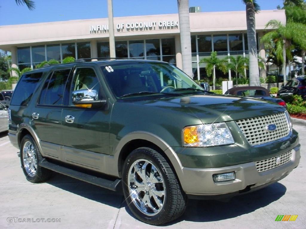 2003 Expedition Eddie Bauer - Estate Green Metallic / Medium Parchment photo #1