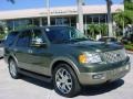 2003 Estate Green Metallic Ford Expedition Eddie Bauer  photo #1