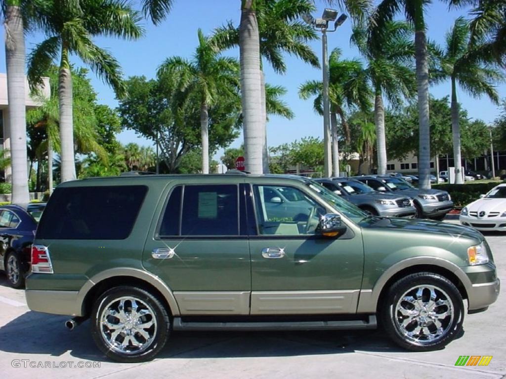 2003 Expedition Eddie Bauer - Estate Green Metallic / Medium Parchment photo #5