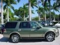 2003 Estate Green Metallic Ford Expedition Eddie Bauer  photo #5