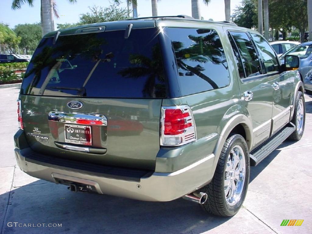 2003 Expedition Eddie Bauer - Estate Green Metallic / Medium Parchment photo #6
