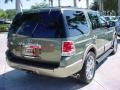 2003 Estate Green Metallic Ford Expedition Eddie Bauer  photo #6