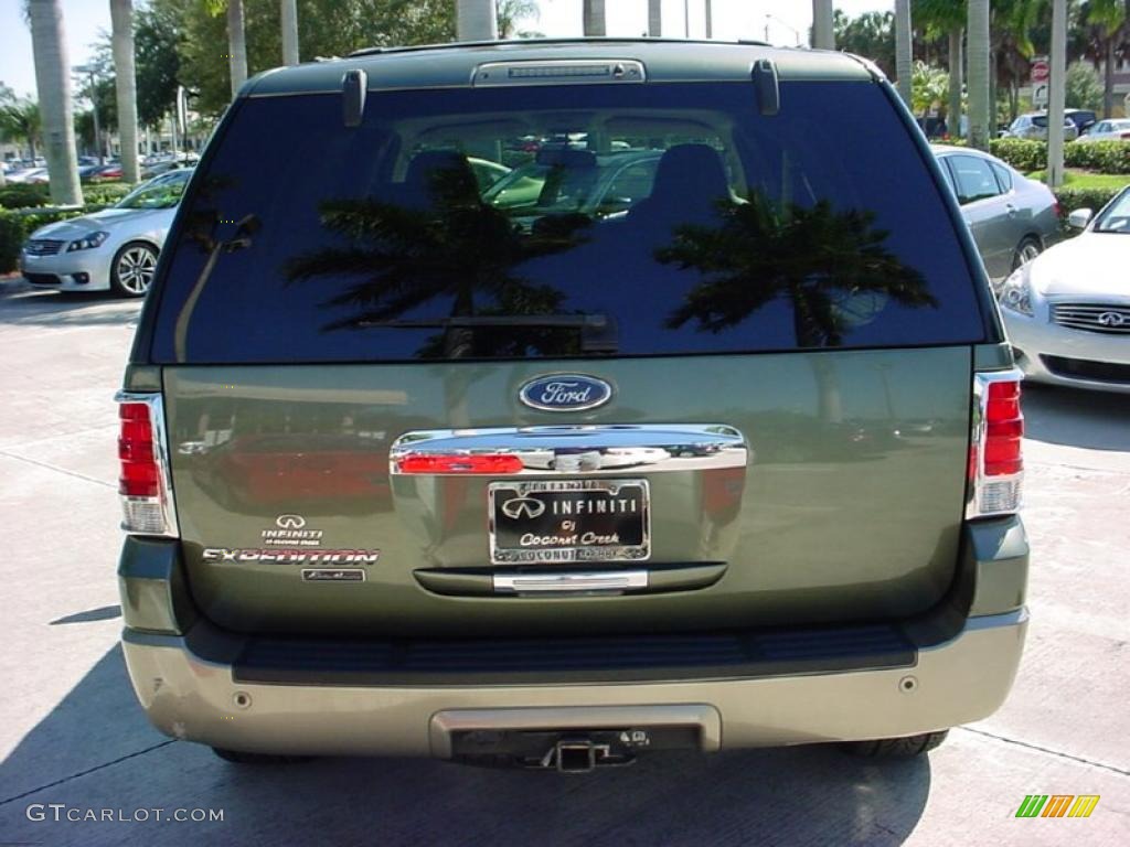2003 Expedition Eddie Bauer - Estate Green Metallic / Medium Parchment photo #7
