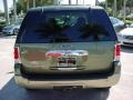2003 Estate Green Metallic Ford Expedition Eddie Bauer  photo #7