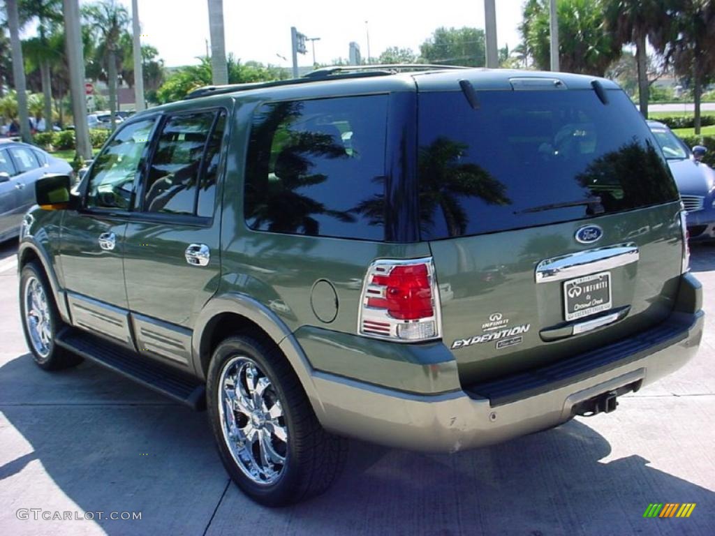 2003 Expedition Eddie Bauer - Estate Green Metallic / Medium Parchment photo #9