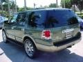 2003 Estate Green Metallic Ford Expedition Eddie Bauer  photo #9