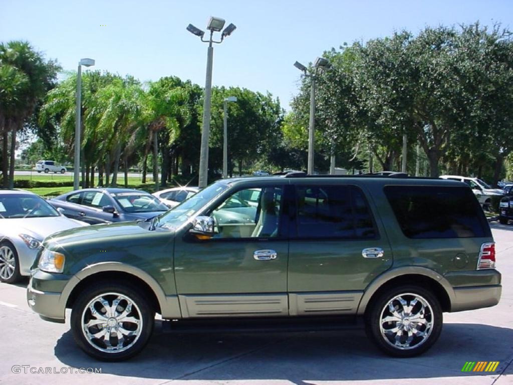 2003 Expedition Eddie Bauer - Estate Green Metallic / Medium Parchment photo #10