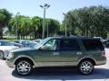 2003 Estate Green Metallic Ford Expedition Eddie Bauer  photo #10