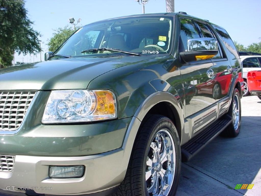 2003 Expedition Eddie Bauer - Estate Green Metallic / Medium Parchment photo #13