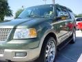 2003 Estate Green Metallic Ford Expedition Eddie Bauer  photo #13