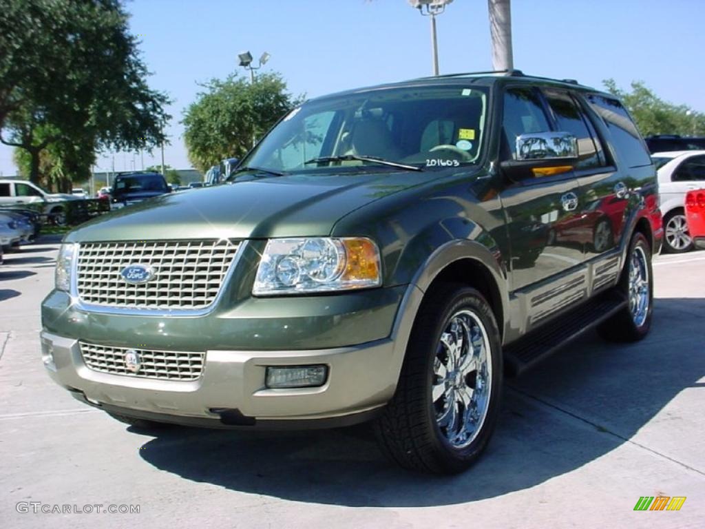 2003 Expedition Eddie Bauer - Estate Green Metallic / Medium Parchment photo #14