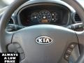 2010 Shadow Black Kia Rondo LX  photo #19