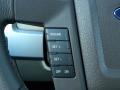 Tan Controls Photo for 2010 Ford F150 #39399057