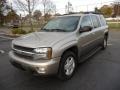 2003 Light Pewter Metallic Chevrolet TrailBlazer EXT LT 4x4  photo #1