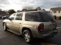 2003 Light Pewter Metallic Chevrolet TrailBlazer EXT LT 4x4  photo #4
