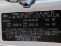 3D: Bright Silver 2010 Kia Rondo LX Color Code