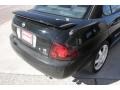Blackout - Sentra SE-R Spec V Photo No. 16
