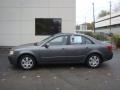 Willow Gray - Sonata GLS Photo No. 1