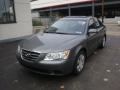 Willow Gray - Sonata GLS Photo No. 11