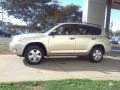 Beige Metallic - RAV4  Photo No. 18