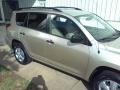 Beige Metallic - RAV4  Photo No. 21