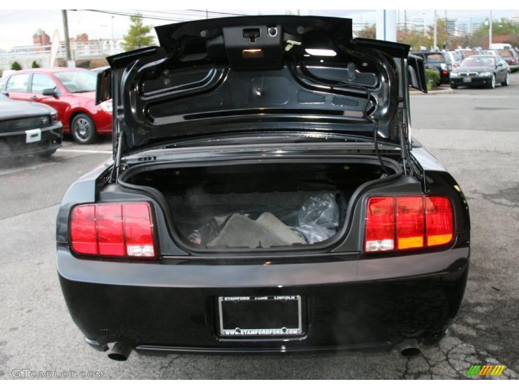 2007 Mustang GT Premium Convertible - Black / Light Graphite photo #8