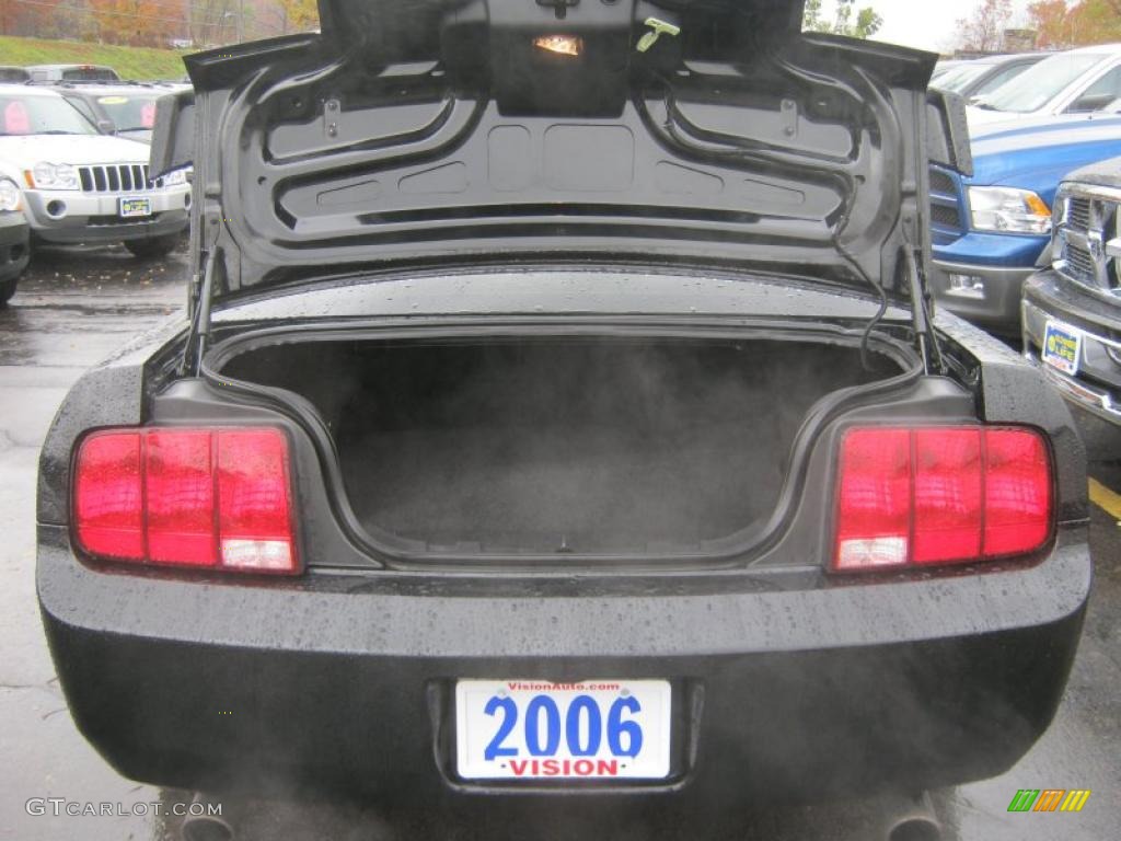 2006 Mustang V6 Premium Coupe - Black / Dark Charcoal photo #6