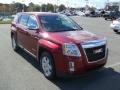 Merlot Jewel Metallic - Terrain SLE Photo No. 5