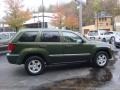 Jeep Green Metallic - Grand Cherokee Laredo 4x4 Photo No. 5